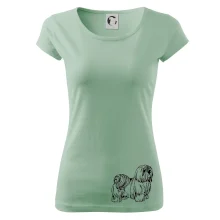 Shih-tzu - chlupatý