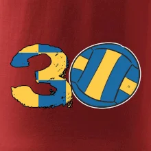 Volejbal kulaté narozeniny 30