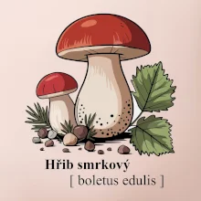 Hřib smrkový - Boletus edulis kreslený