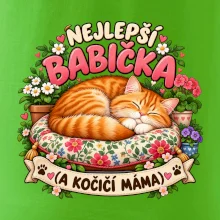 Nejlepší babička a kočičí máma spící zrzavý kocour