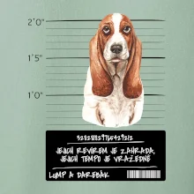 Baset - lump a darebák