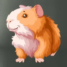 Morče - kreslené, bílo oranžové