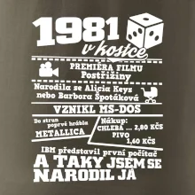 1981 v kostce