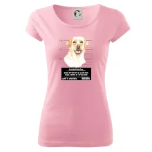 Lump a darebák labrador