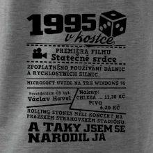 1995 v kostce