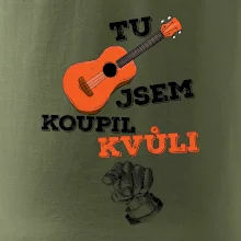 Tu kytaru jsem koupil kvůli tobě