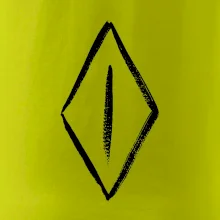 Dámské přirození hladce oholené