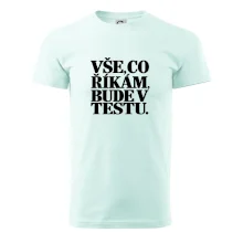 Vše co říkám bude v testu