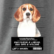 Lump a darebák bígl