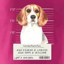 Lump a darebák bígl