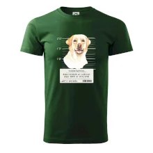 Lump a darebák labrador