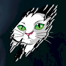 Kočka v roztrženém triku