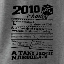 2010 v kostce 2010 v kostce