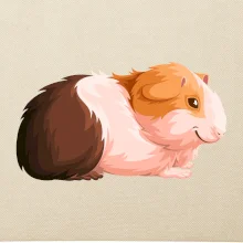 Morče - kreslené z boku