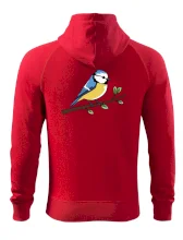 Sýkorka modřinka na větvi