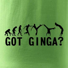 Capoeira - Got Ginga