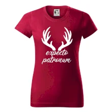 Harry - Expecto patronum