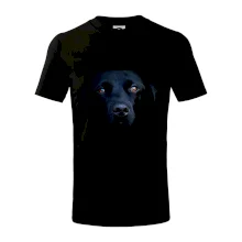 Černý Labrador fotka