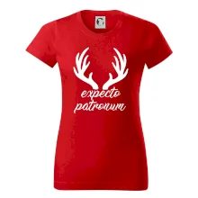 Harry - Expecto patronum