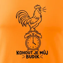Kohout jako ranní budík
