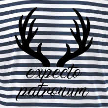 Harry - Expecto patronum