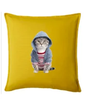 Kočka v pruhovaném triku