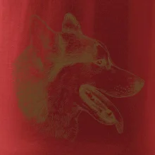 Husky - hlava z boku