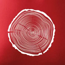 Letokruhy 45 bez věku