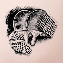 Ping pong pálky a síť