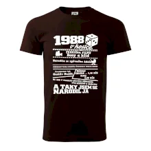 1988 v kostce