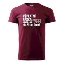 VÝPLATNÍ PÁSKA: Návod, jak přežít do úterý