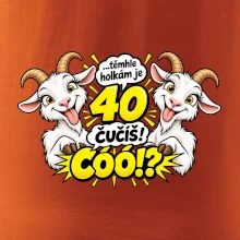 Těmhle holkám je 40, čučíš co?