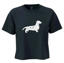 Jezevčík - Dachshund