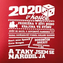 2020 v kostce