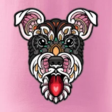 Knírač hlava barevná