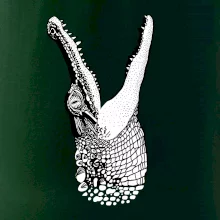 Krokodýl kreslený (Pecka design)