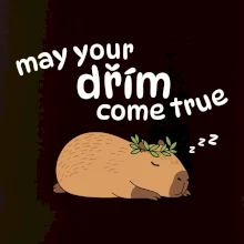 May your dřím come true