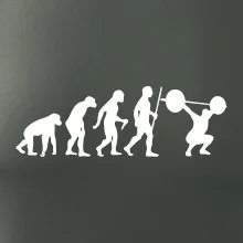 Evolution fitness Evolution fitness