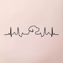 Labrador EKG