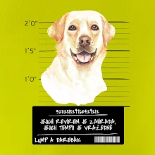 Lump a darebák labrador