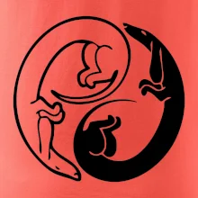 Jezevčíci - Jin jang