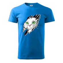 Kočka v roztrženém triku