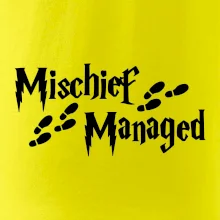 Harry - Mischief Managed