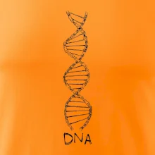 Cyklistovo DNA