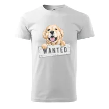 Zlatý retriever - štěně wanted