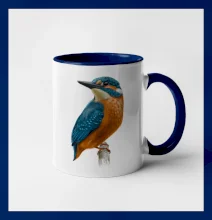 Lednáček kreslený