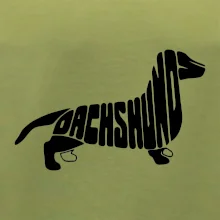 Jezevčík - Dachshund
