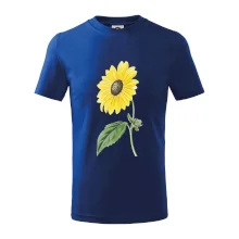 Slunečnice otočená