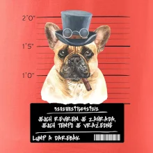 Lump a darebák francouzský buldoček