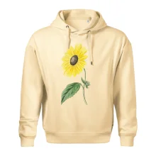 Slunečnice otočená